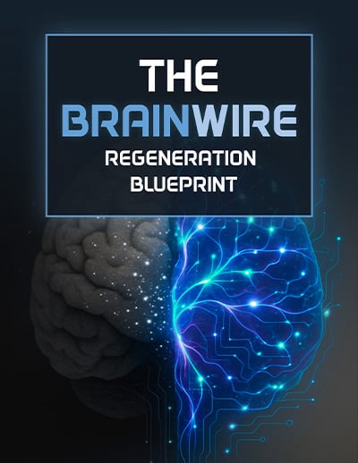 Audifort-Bonus-2-The Brainwire Regeneration Blueprint